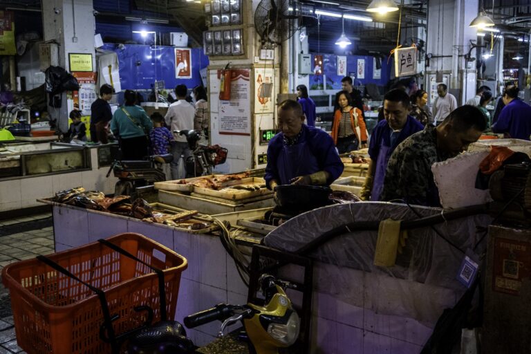 Τι αποκαλύπτει η κινεζική ανάλυση των γενετικών δεδομένων από την αγορά της Γουχάν
