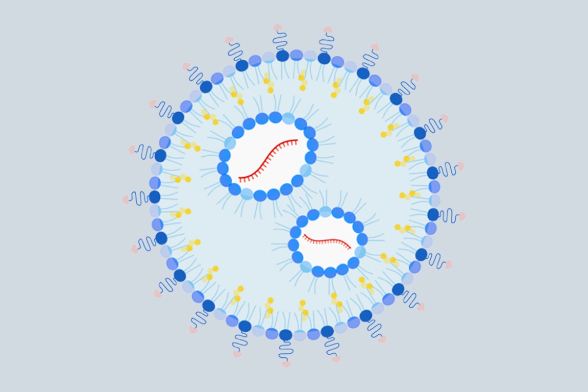 Nanoparticle+to+treat+allergy