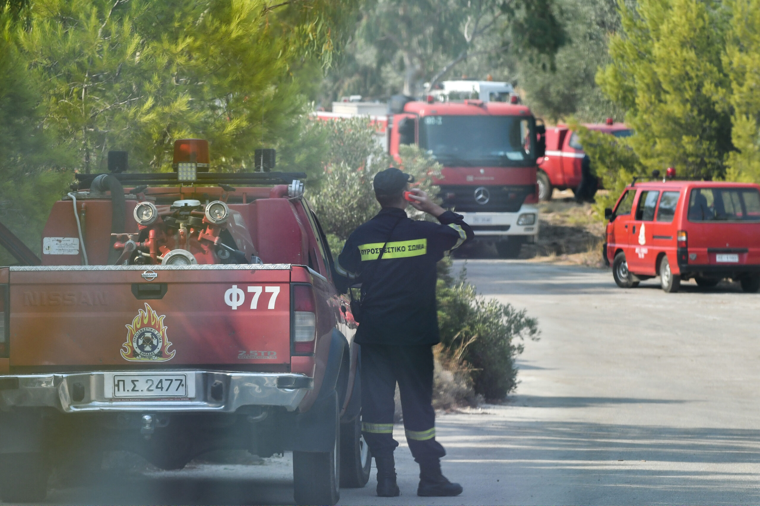 Φωτιά σε δασική έκταση στο Παλιούρι Χαλκιδικής-Επί τόπου ισχυρές πυροσβεστικές δυνάμεις