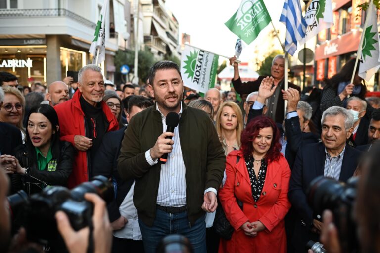 Ν. Ανδρουλάκης: Για το ΠΑΣΟΚ και τη δημοκρατική παράταξη το σημαντικότερο εθνικό ζήτημα είναι το δημογραφικό