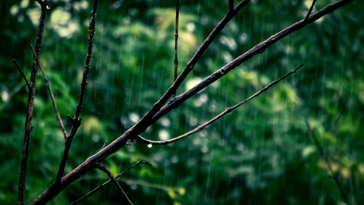 RAIN1