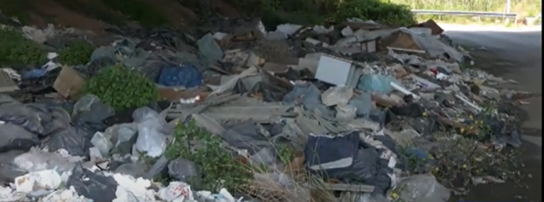 Λαχανόκηποι Θεσσαλονίκης: Ένα διαμάντι καλά κρυμμένο στα σκουπίδια