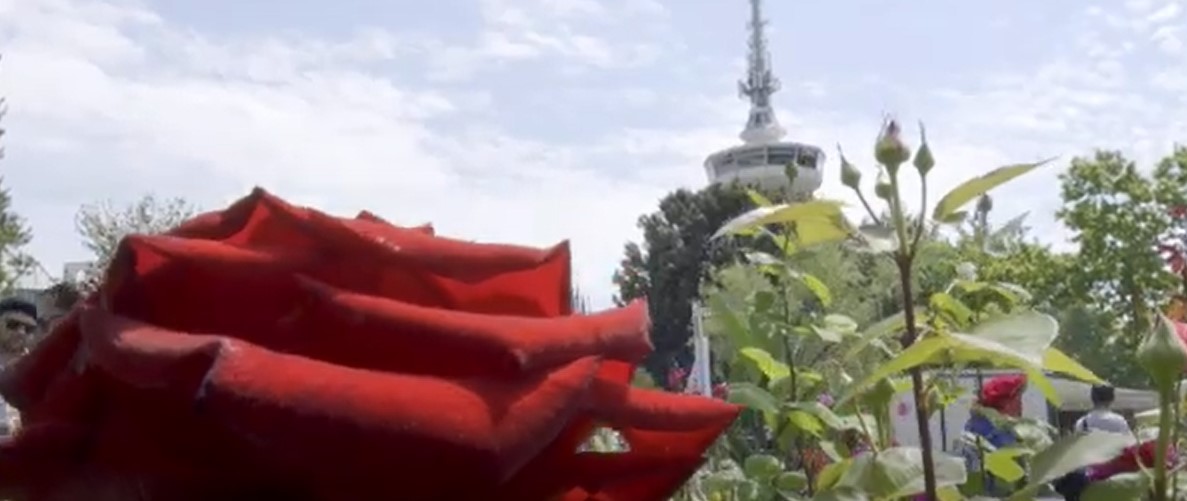 Screenshot_9