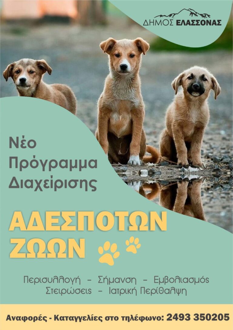 Δήμος Ελασσόνας: Νέο πρόγραμμα διαχείρισης για τα αδέσποτα ζώα