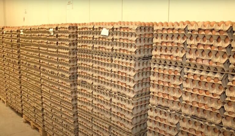 Πάνω από 600.000 αυγά ημερησίως στη Νεοχωρούδα Ωραιοκάστρου-Πυρετώδεις προετοιμασίες για το Πάσχα