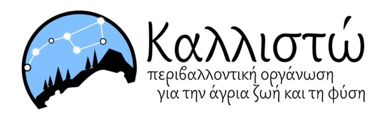Δράμα: Εκδηλώσεις για τη συνύπαρξη ανθρώπου – αρκούδας