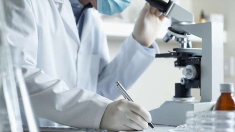 Θ. Ψαλτοπούλου στο ΕΡΤNews για παρβοϊό: Τι είναι και ποιοι κινδυνεύουν για σοβαρή νόσηση