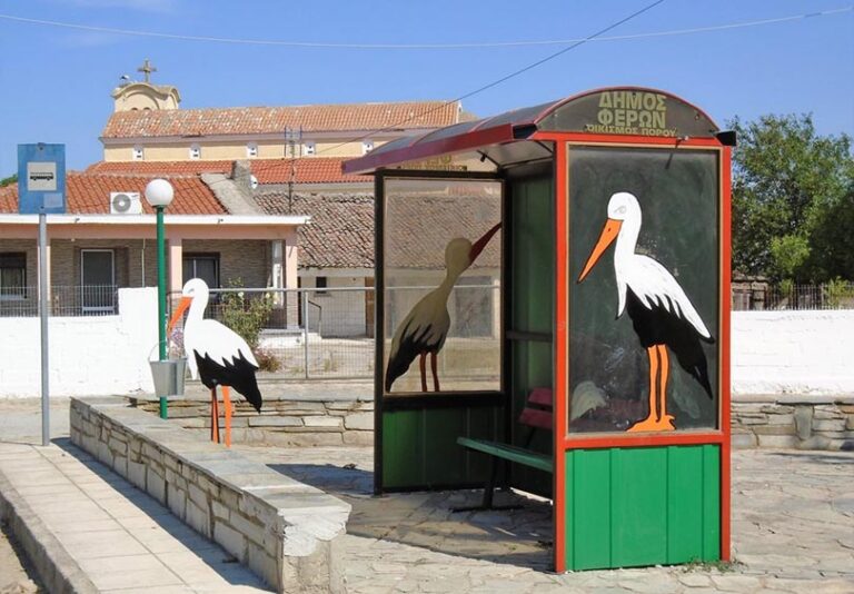 Η ΕΡΤ στο χωριό των πελαργών στον Έβρο (video)