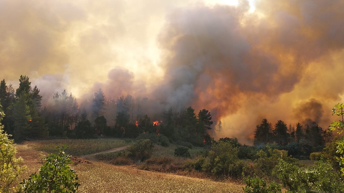 Ηλεία: Ηλεκτρονικό σύστημα στη «μάχη» με τις δασικές πυρκαγιές
