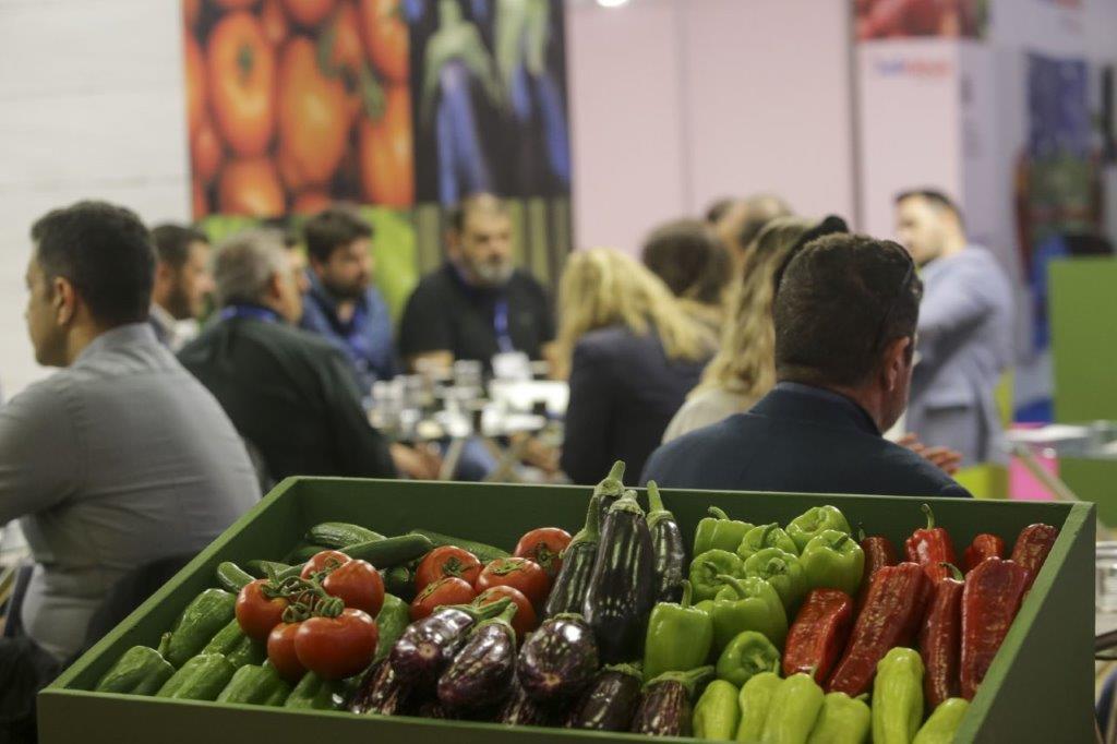 Θεσσαλονίκη: Την καλύτερη επίδοση της ιστορίας της σημείωσε η Freskon 2023