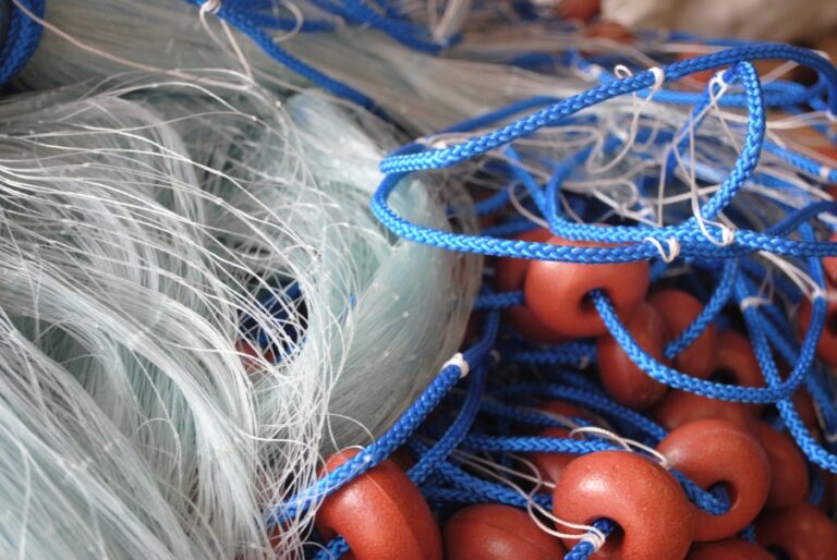 Κορινθιακός: Πήγαν να μαζέψουν την ψαριά τους και στα δίχτυα βρήκαν καρχαρία τριών μέτρων (video)
