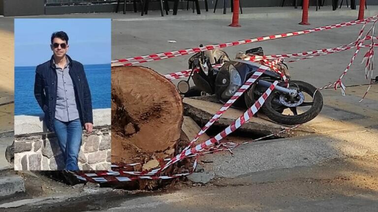 Ηράκλειο: Αποζημίωση 1,13 εκατ. ευρώ διεκδικεί από τον δήμο με αγωγή η οικογένεια του Π. Μητρέλου που καταπλακώθηκε από πεύκο