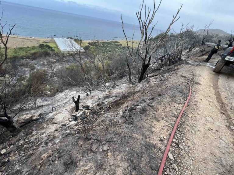 Χανιά: Υπό μερικό έλεγχο η φωτιά στο Σφηνάρι – Στάχτη 38 στρέματα (video)