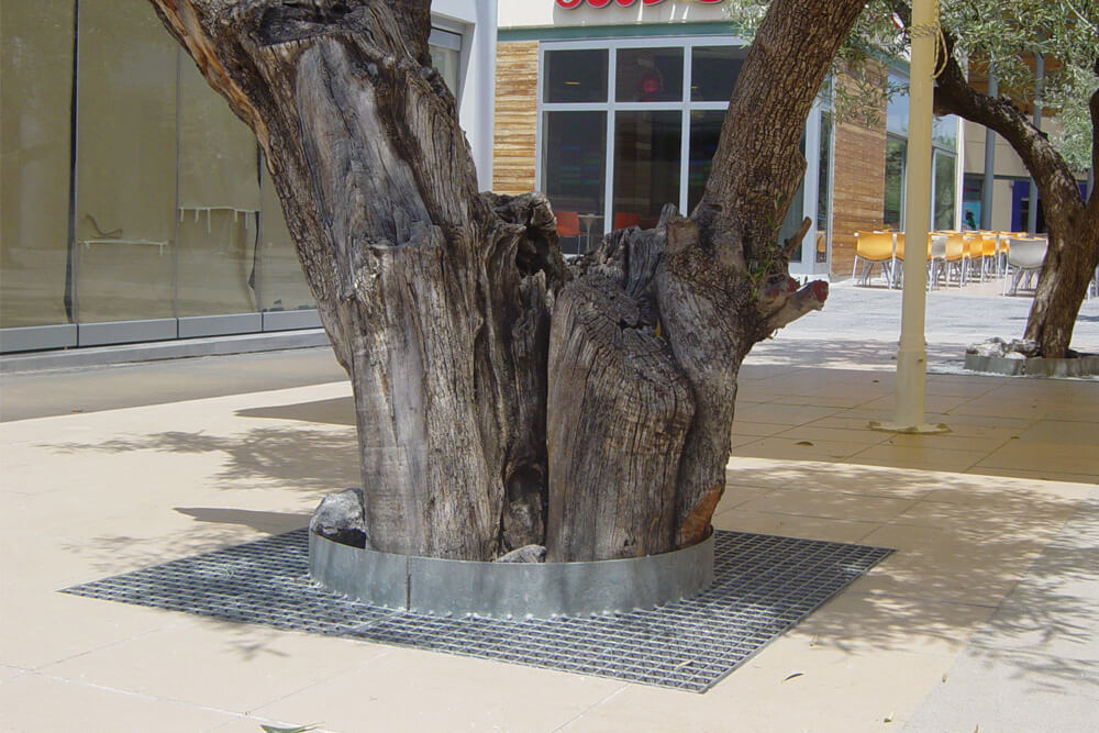 Θεσσαλονίκη: 42χρονος έκλεψε μεταλλικές σχάρες από τις βάσεις δέντρων