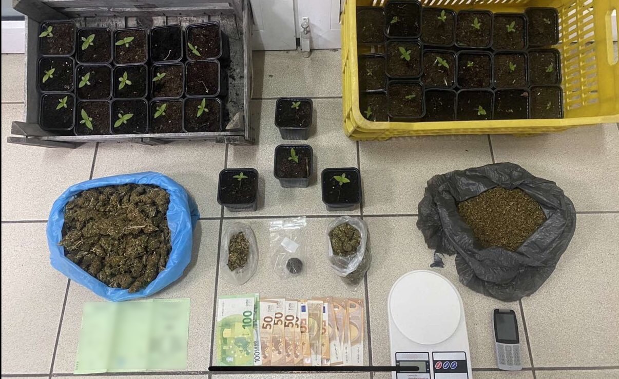 Πιερία: Σύλληψη 63χρονου για κατοχή 37 φυτών κάνναβης