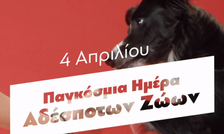 Μητσοτάκης για Παγκόσμια Ημέρα Αδέσποτων Ζώων: Κανένα ζώο αδέσποτο, κανένα κακοποιημένο