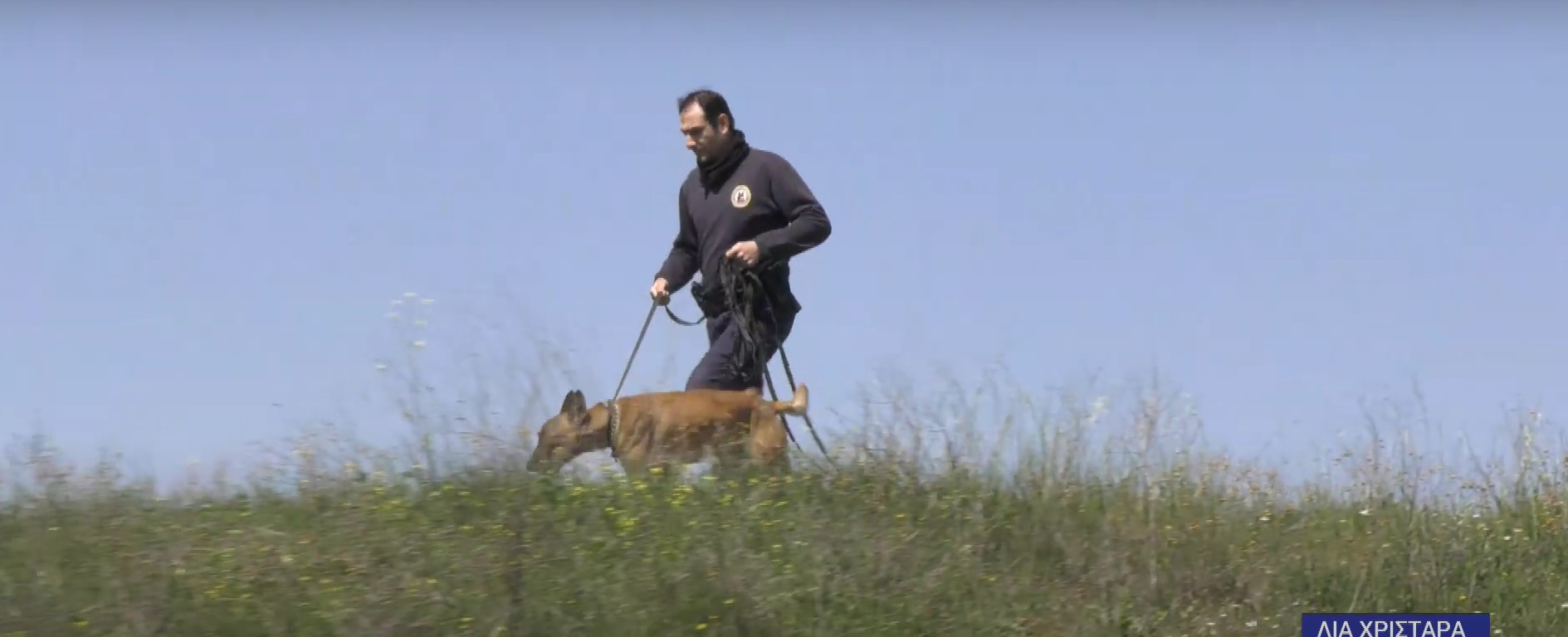 Χαλκηδόνα έρευνα