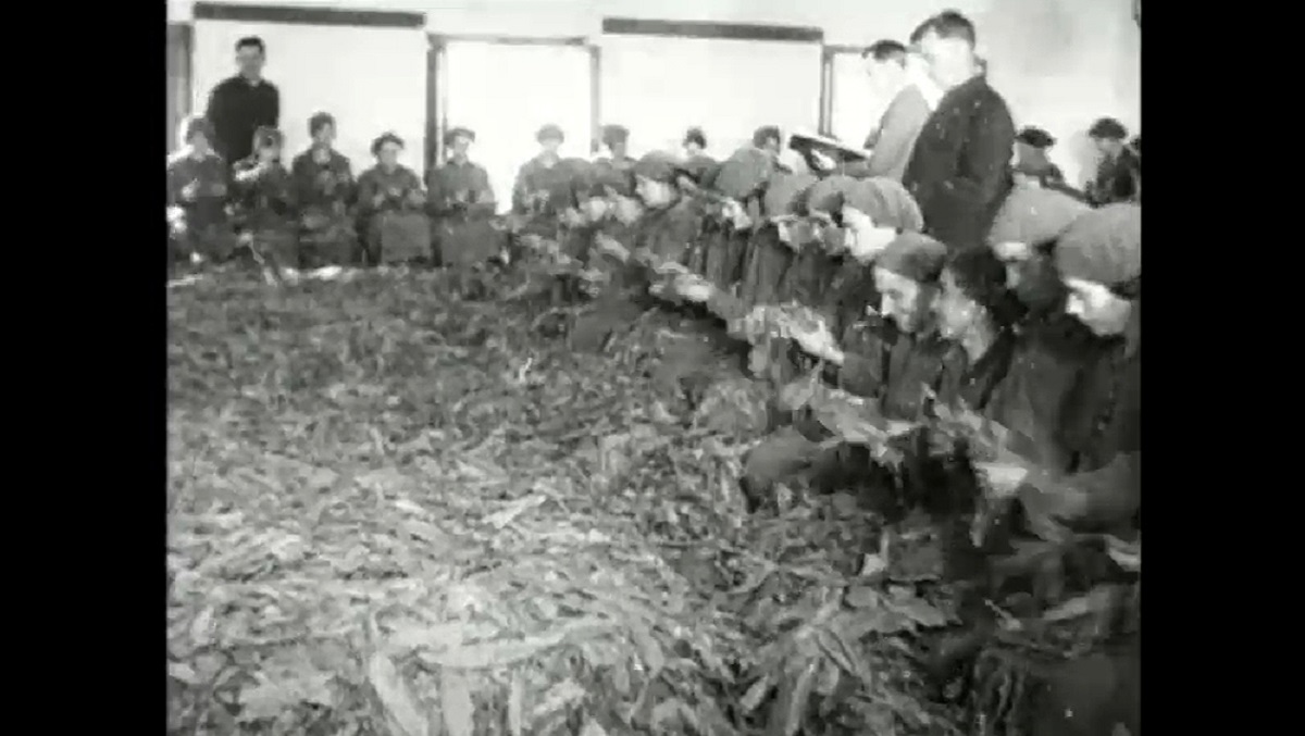 Διαφημιστική ταινία του 1938 του εργοστασίου παραγωγής σιγαρέττων «Αδερφών Ματσάγγου» (video)