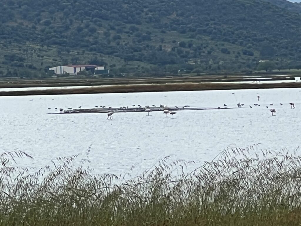 Λέσβος: Το νησί των χιλιάδων αποχρώσεων