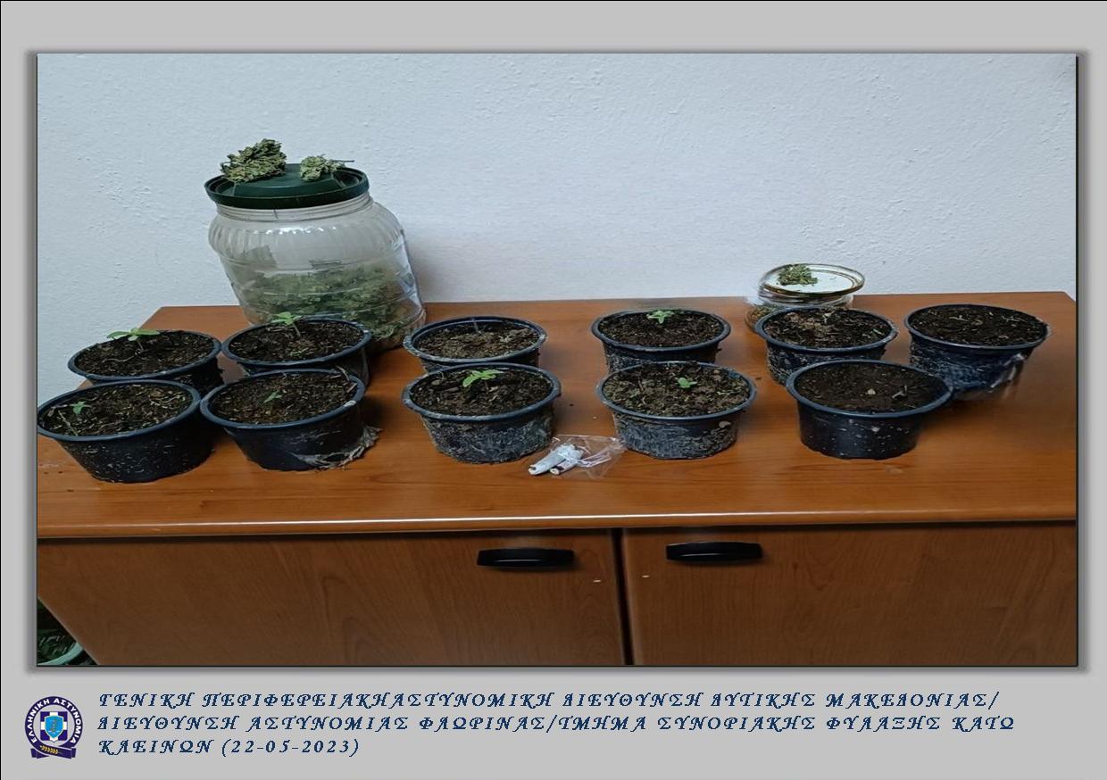 Φλώρινα: 61χρονος καλλιεργούσε δενδρυλλια κάνναβης