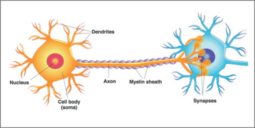 Λιγότερο αλκοόλ- Καλύτερη ζωή