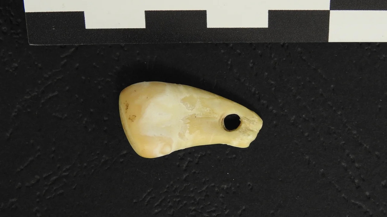 230503113853-02-ancient-dna-pendant