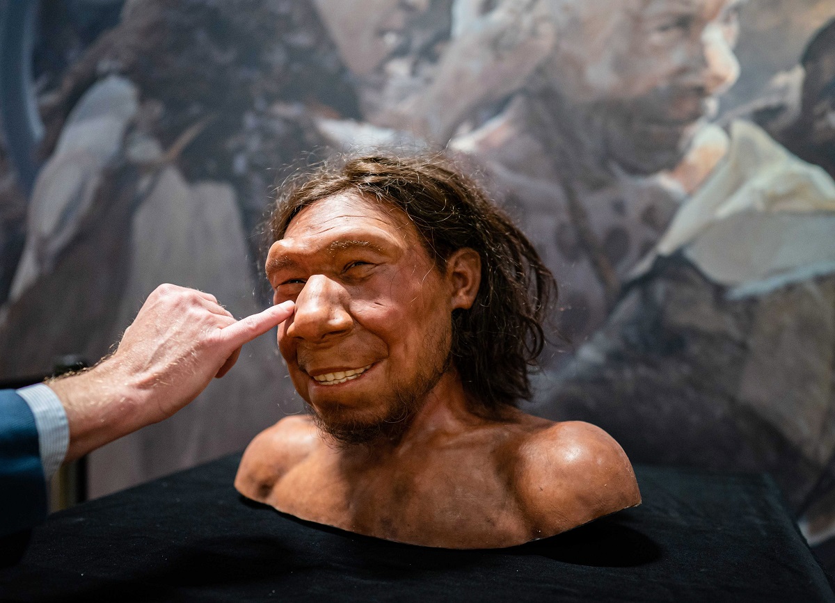 The oldest Neanderthal in the Netherlands has a face