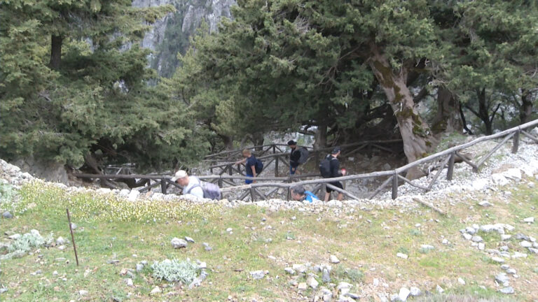 “Άνοιξε” το Φαράγγι της Σαμαριάς – Εκατοντάδες επισκέπτες παρά τη βροχή