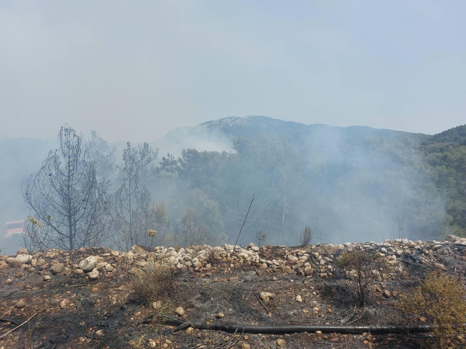 ΕΚΤΑΚΤΟ: Κινητοποίηση της Πυροσβεστικής για φωτιά σε δασική έκταση στη Ρόδο