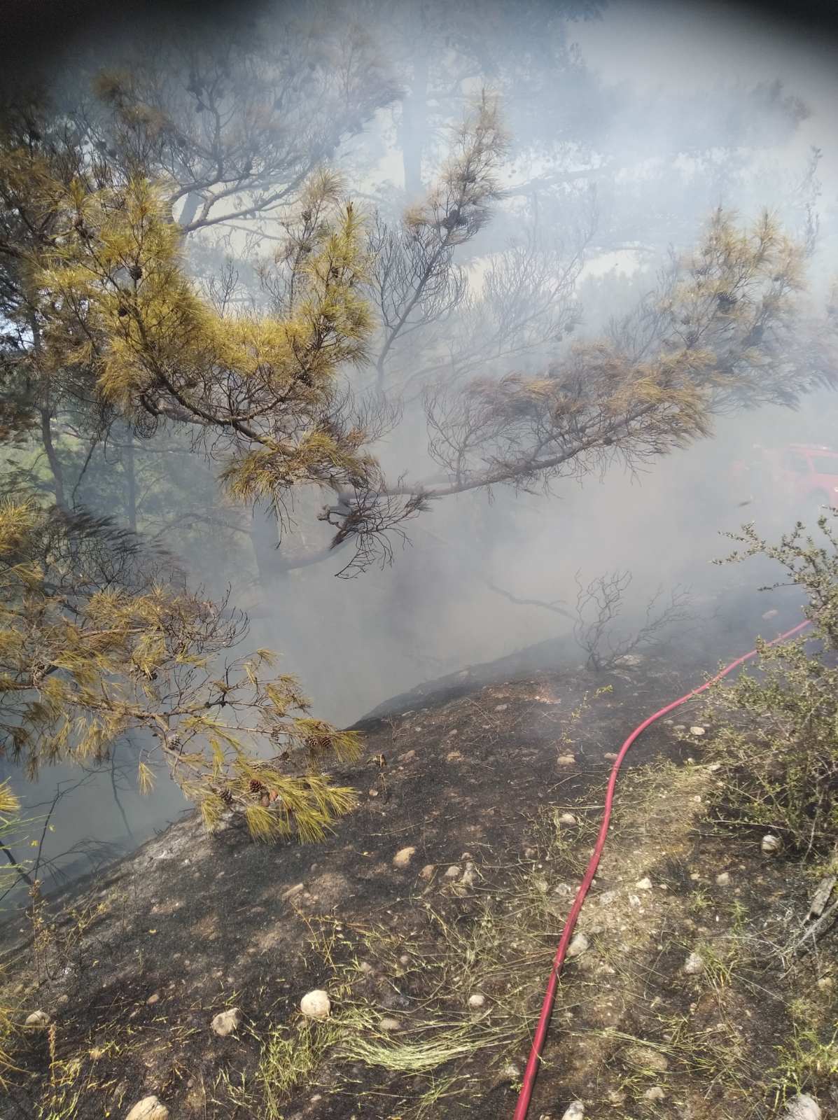 Υπο έλεγχο τέθηκε η φωτιά σε δασική έκταση στην Ρόδο