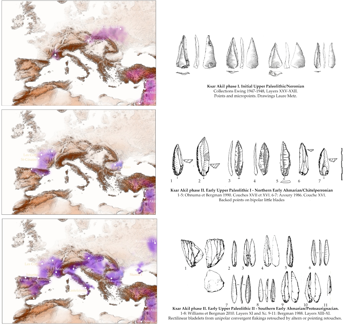 3+Waves+PlosOne+Slimak+(1) (1)