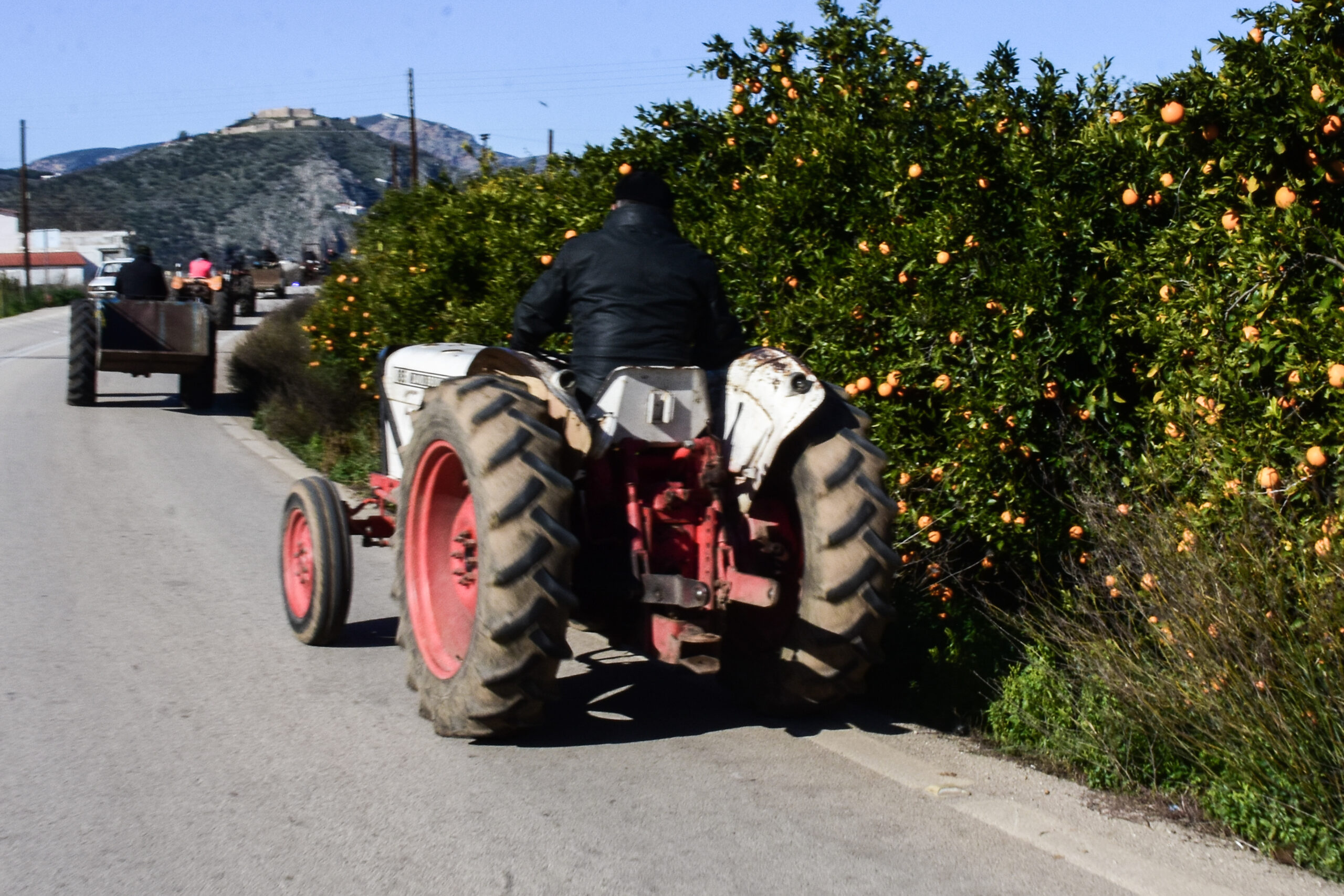 Ανοίγει ο δρόμος για το θεσμικό πλαίσιο των πληρωμών της ΚΑΠ 2023-2027 – Τι αναφέρουν οι εφαρμοστικές αποφάσεις