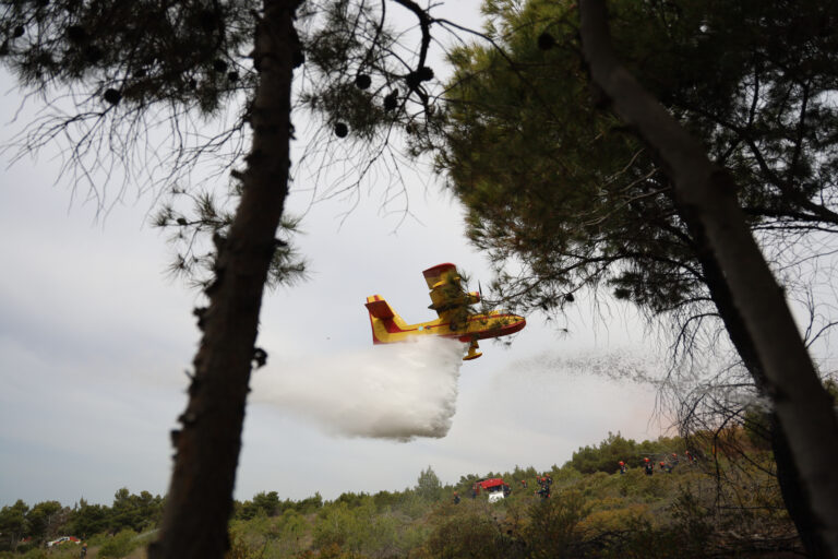 Καβάλα: Υπο μερικό έλεγχο η δασική πυρκαγιά στο Ελαιοχώρι