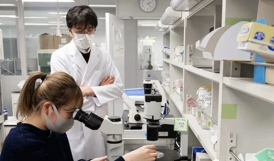 Μωρά σε εργαστήριο: Έτοιμοι οι επιστήμονες σε μία πενταετία