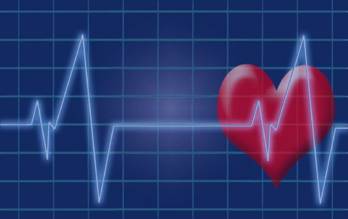 Electrocardiogram Ecg Heartbeat Pulse Heart