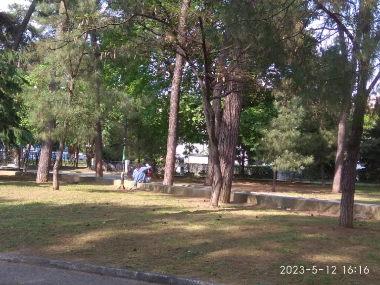 Κομοτηνή: Μικρές οάσεις χαλάρωσης οι χώροι πρασίνου και τα μικρά πάρκα της πόλης