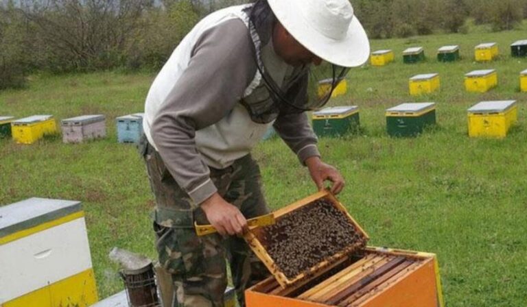Έως τις 30 Ιουνίου οι αιτήσεις για οικονομική στήριξη της νομαδικής μελισσοκομίας