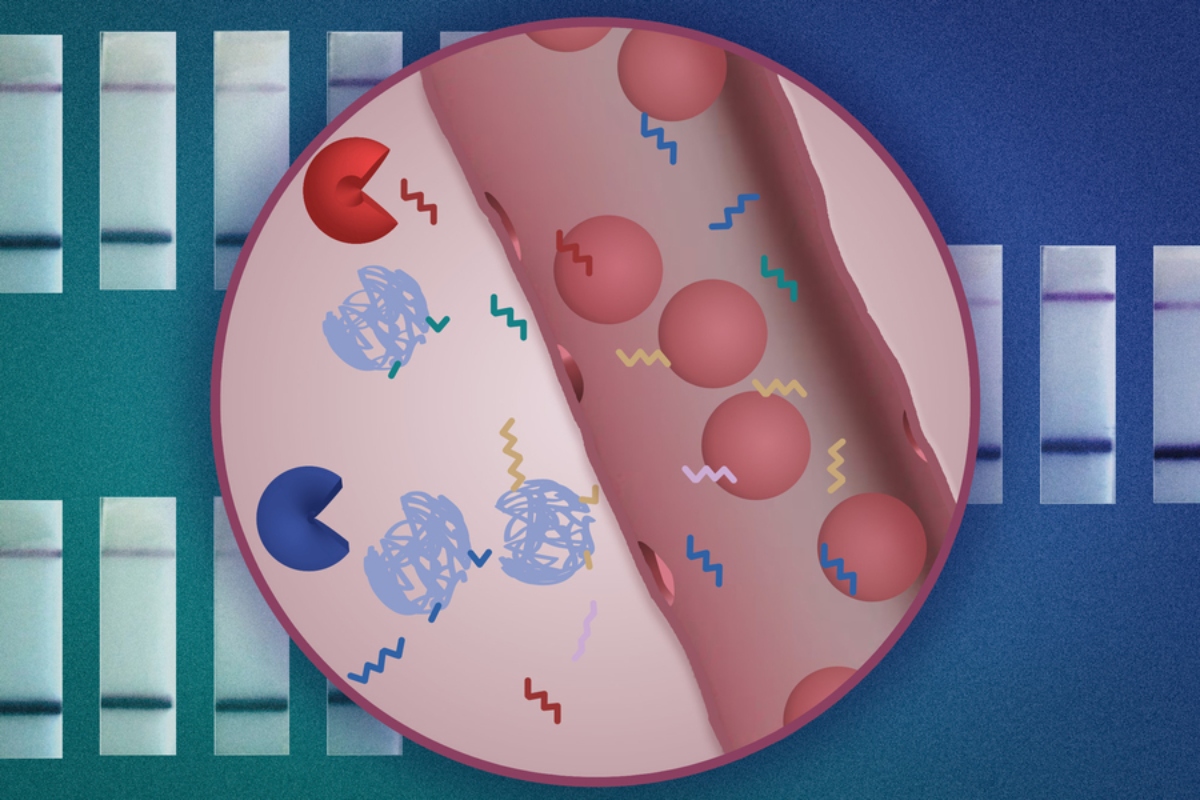 MIT-CancerDiagnostics-01-press_0 (1)