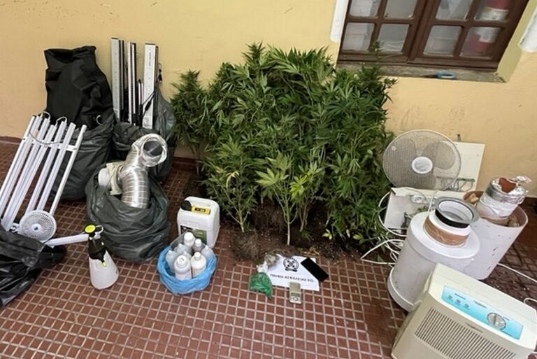 Κως: Σύλληψη ενός ατόμου για καλλιέργεια κάνναβης και διακίνηση ναρκωτικών