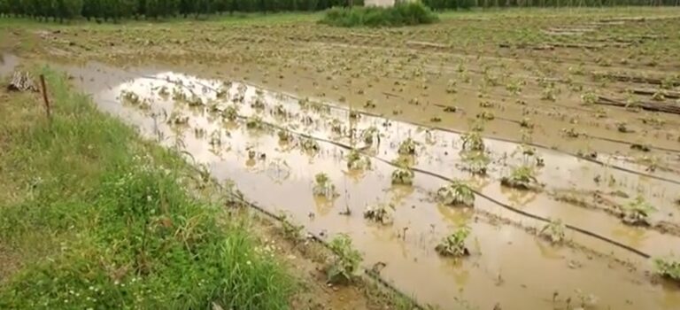 Καστοριά: Καταστροφές σε καλλιέργειες στην περιοχή της Λιθιάς