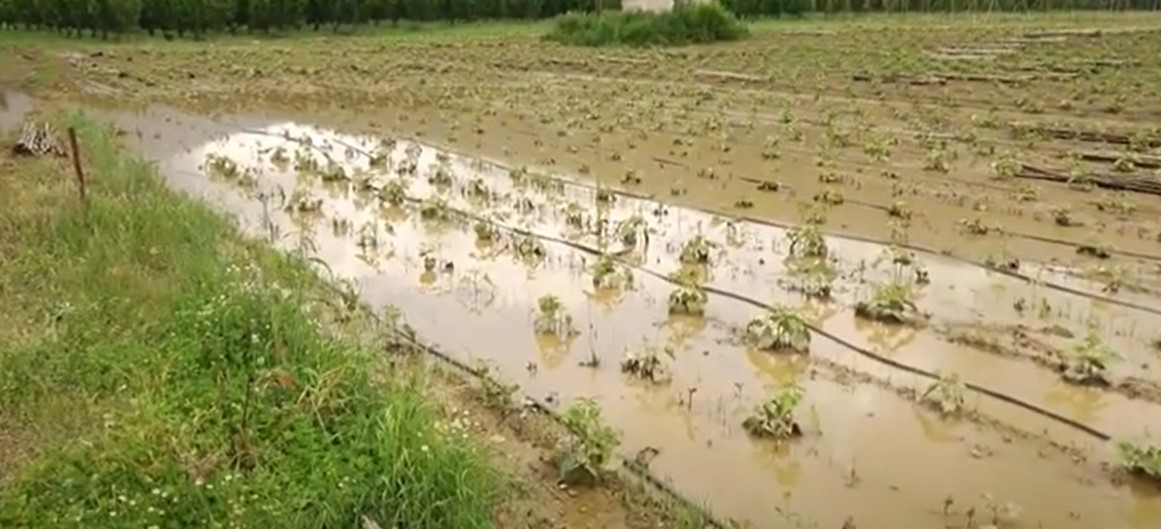 Καστοριά: Καταστροφές σε καλλιέργειες στην περιοχή της Λιθιάς