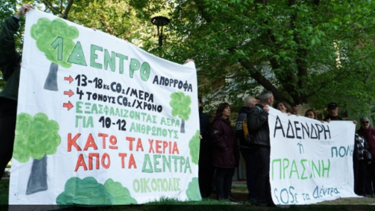 Θεσσαλονίκη: Συνεχίζονται οι διαμαρτυρίες για τις κοπές δέντρων
