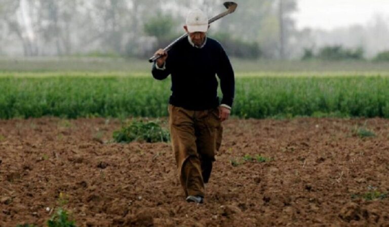 Αγρότες: Άνοιξε η εφαρμογή στο Gov.gr για την υποβολή δηλώσεων ΟΣΔΕ 2023
