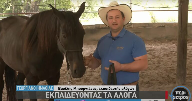 Εκπαιδεύοντας τα άλογα και τους ιδιοκτήτες τους