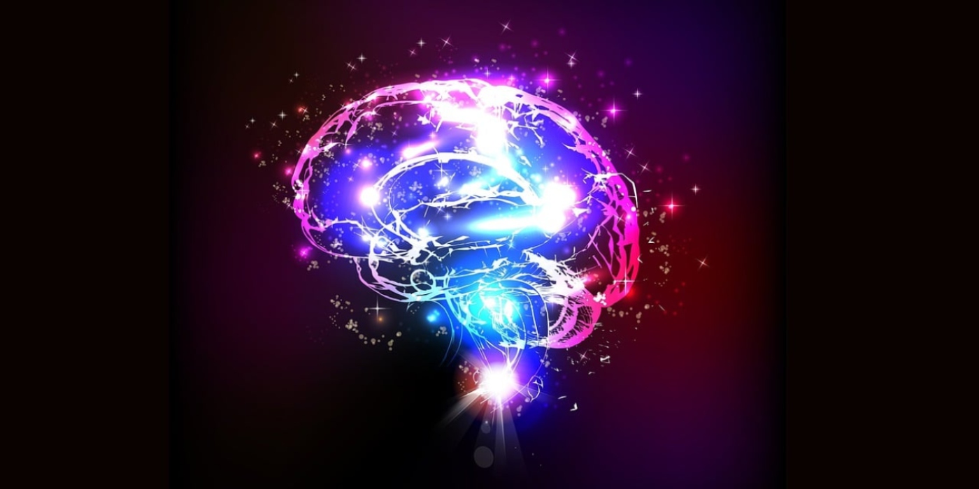 brain-gd79d634b9_1280 (1)