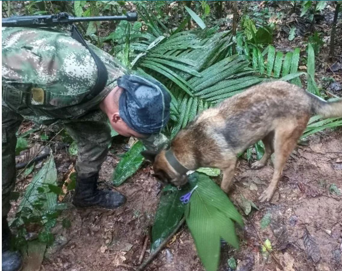 colombia