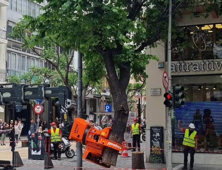 Νέα διαμαρτυρία για τις κοπές δέντρων στη Θεσσαλονίκη