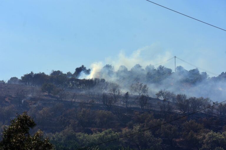 Φωτιά στην Ανάβυσσο – Διακοπή κυκλοφορίας στη Λ. Αναβύσσου, στο ύψος της Αγ. Παρασκευής