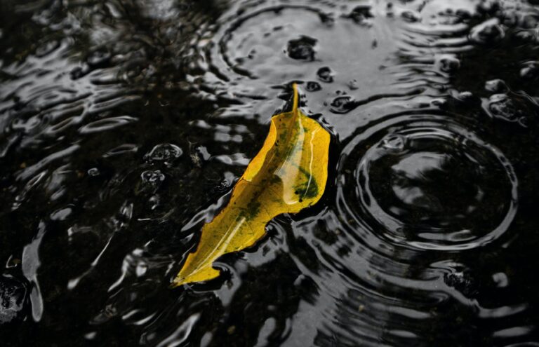 Ο καιρός με την Ε. Κατιρτζόγλου: Αγριεύει και πάλι ο καιρός με βροχές, βοριάδες και πτώση της θερμοκρασίας