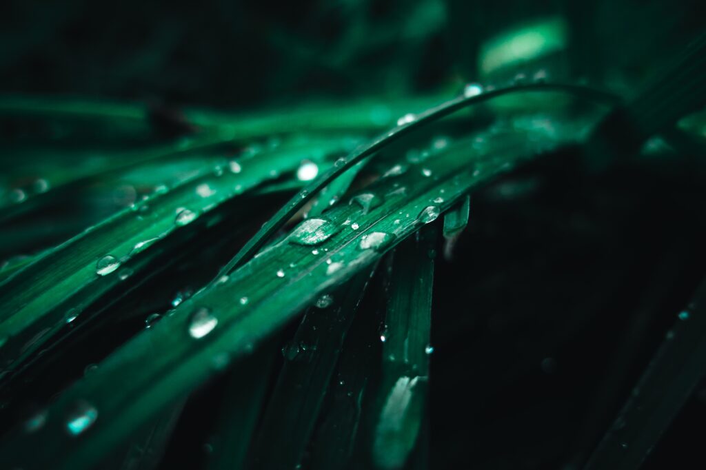 O καιρός με τον Π. Γιαννόπουλο: Αραιές νεφώσεις και βροχές – Έντονη αστάθεια την Κυριακή